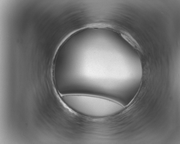 X0000076261484200609281007