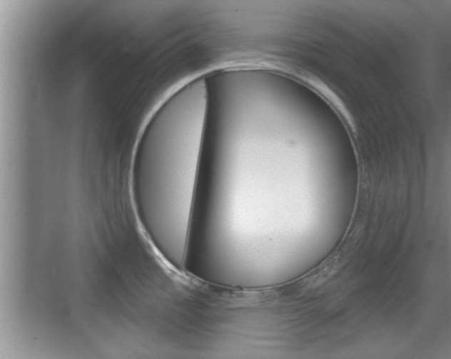 X0000076261485200609281007