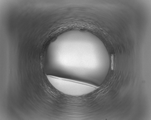 X0000076261491200609281006