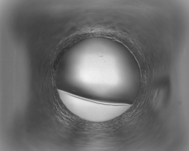 X0000076261493200609281006