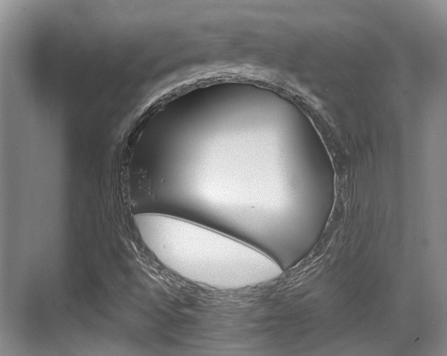 X0000076261496200609281006