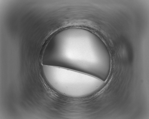 X0000076261497200609281006