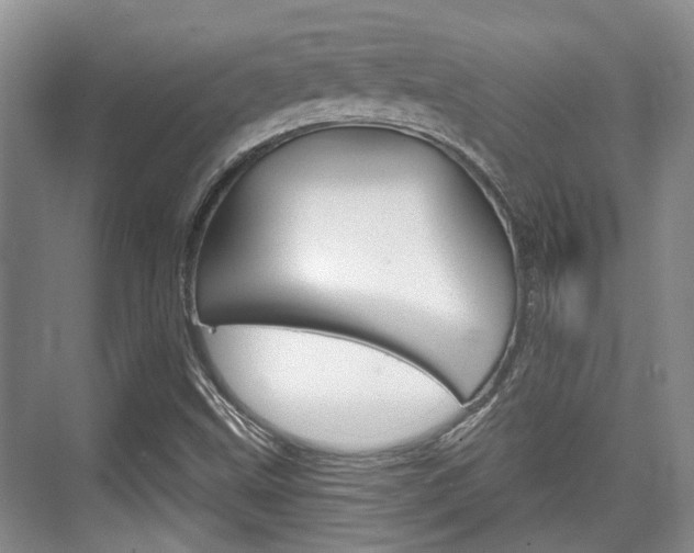 X0000076261499200609281006