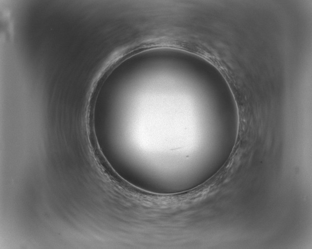 X0000076260006200609281219