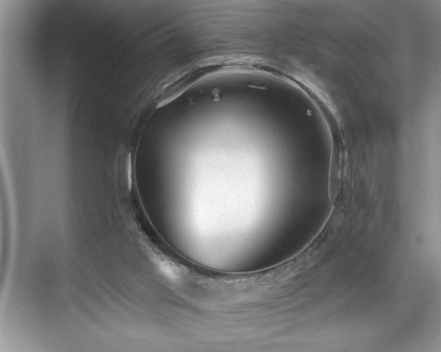 X0000076260013200609281219