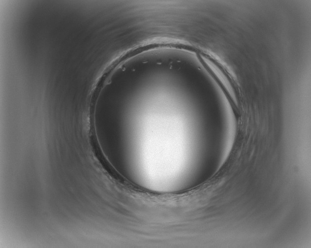X0000076260015200609281219