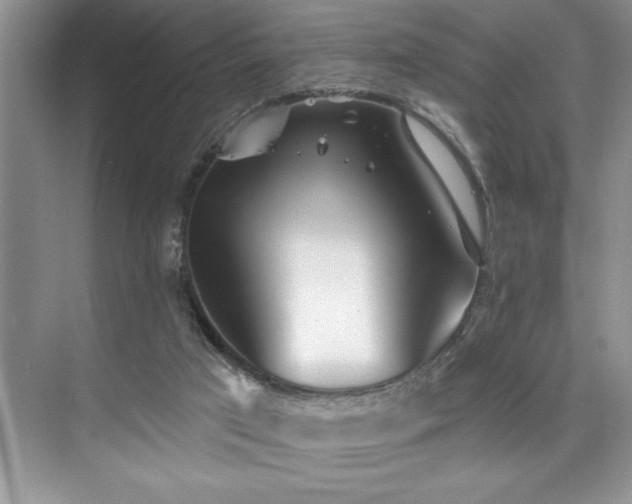 X0000076260017200609281219