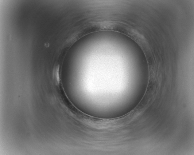 X0000076260028200609281219