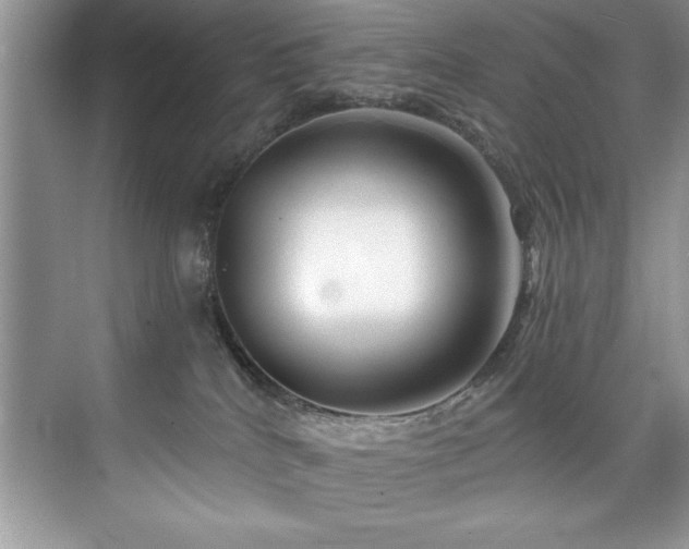 X0000076260040200609281218
