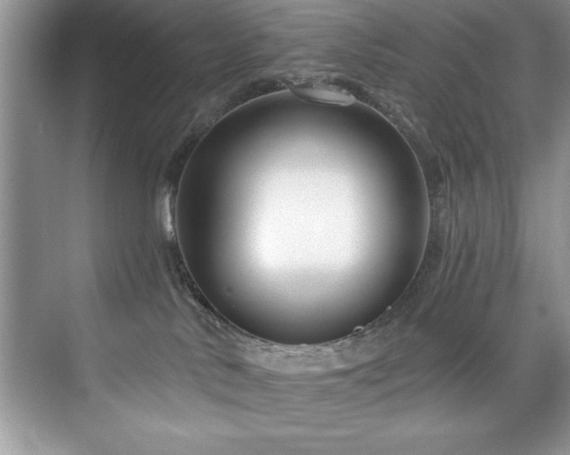 X0000076260042200609281218