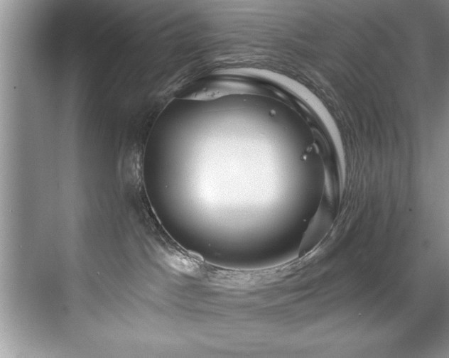 X0000076260045200609281218