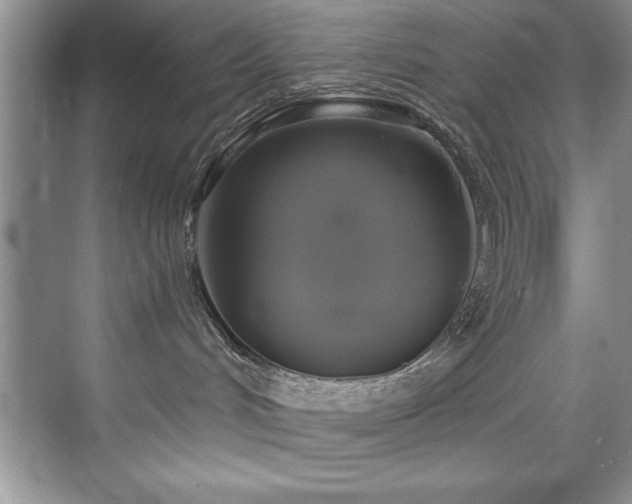 X0000076260048200609281218
