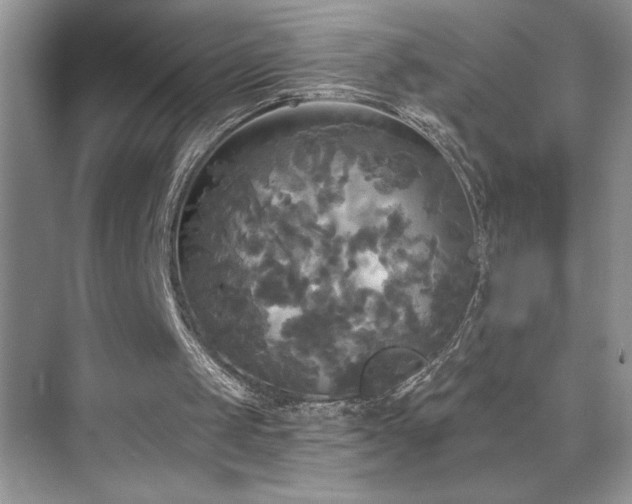 X0000076260049200609281217