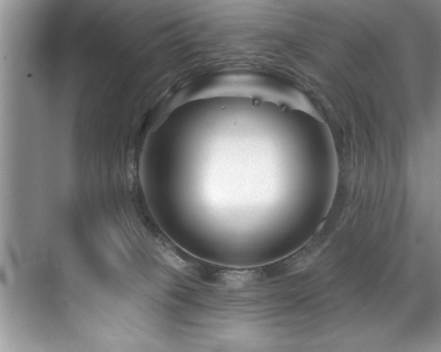 X0000076260085200609281218