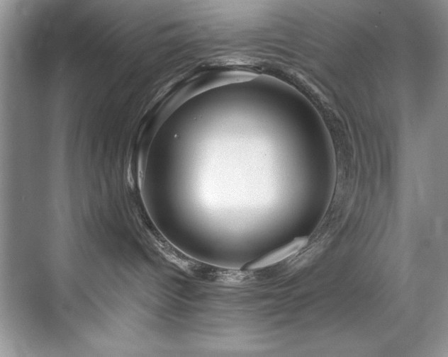 X0000076260096200609281218