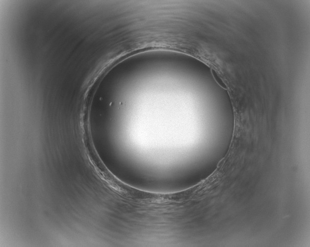 X0000076260098200609281217
