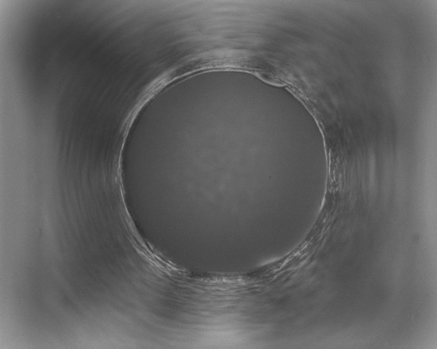 X0000076260099200609281217