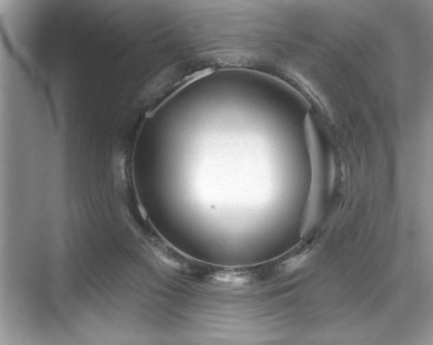 X0000076260117200609281217