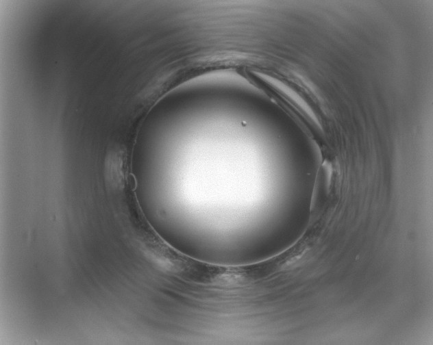 X0000076260119200609281217