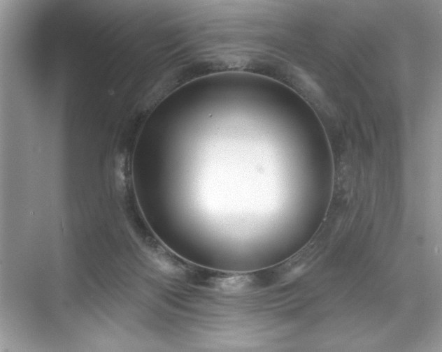 X0000076260122200609281217