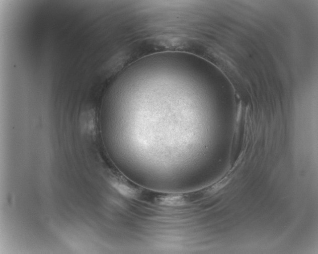 X0000076260132200609281217
