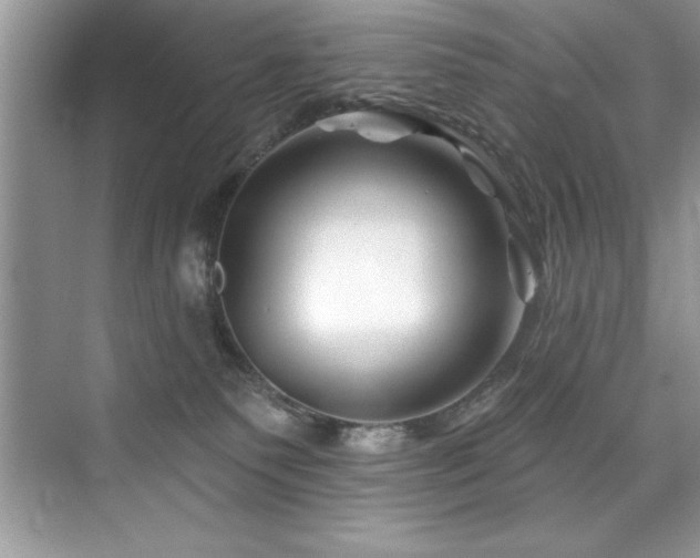 X0000076260135200609281217