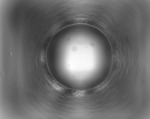 X0000076260138200609281217