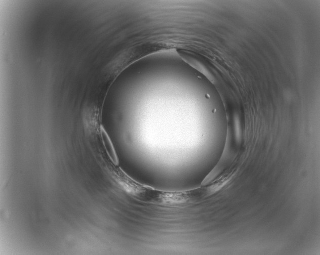 X0000076260141200609281217