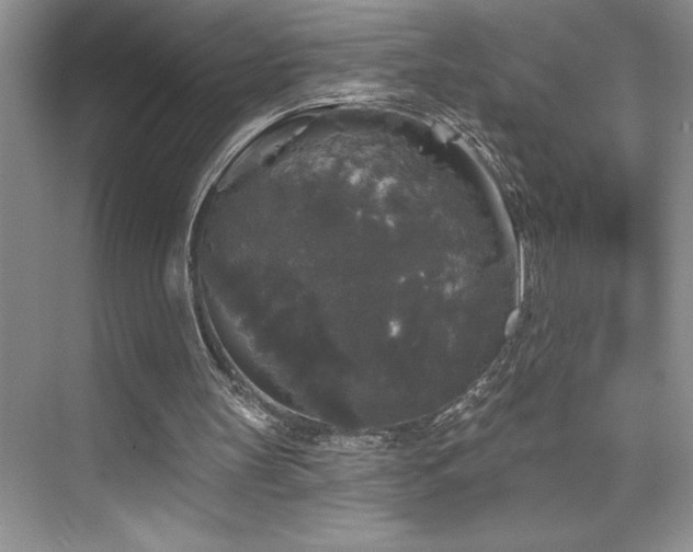 X0000076260147200609281216