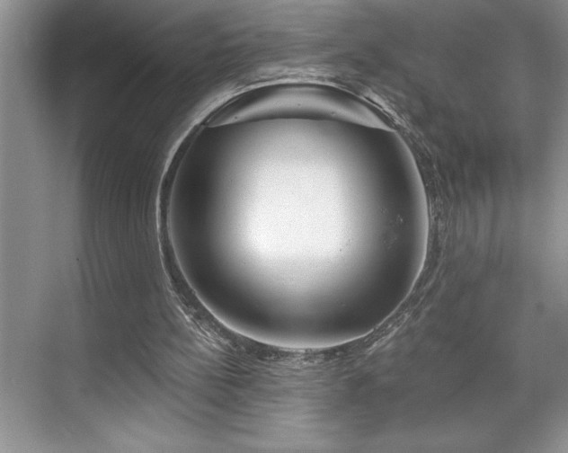 X0000076260148200609281216