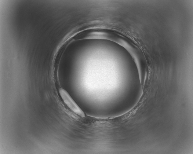 X0000076260150200609281216