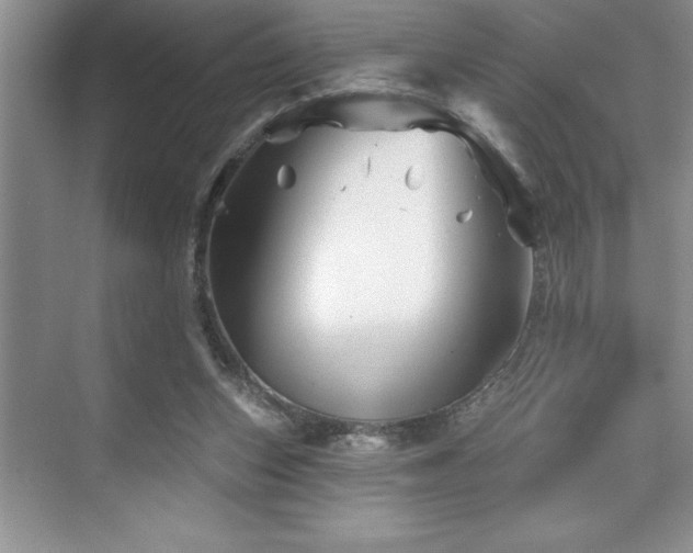 X0000076260159200609281216