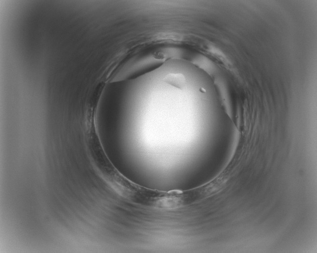 X0000076260168200609281216