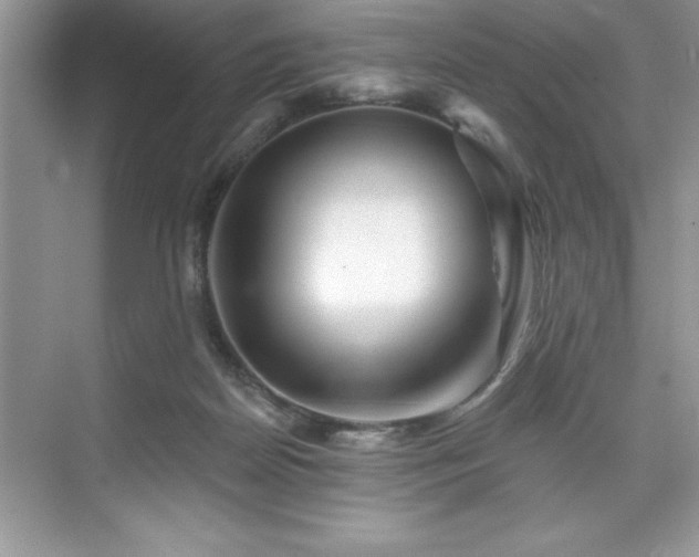 X0000076260170200609281216