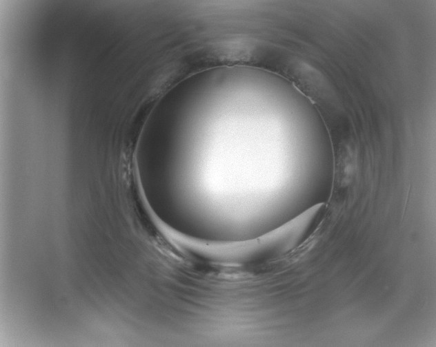 X0000076260172200609281216