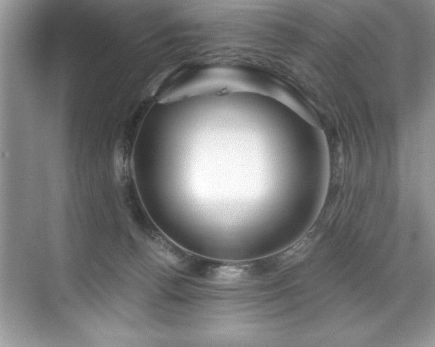X0000076260176200609281216