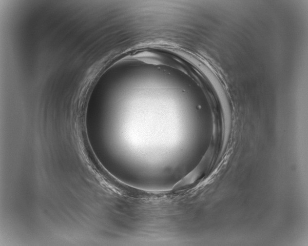 X0000076260193200609281216
