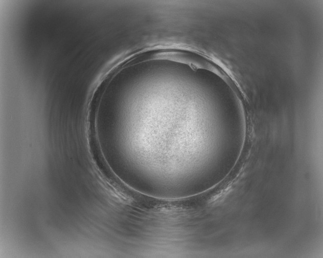 X0000076260199200609281216