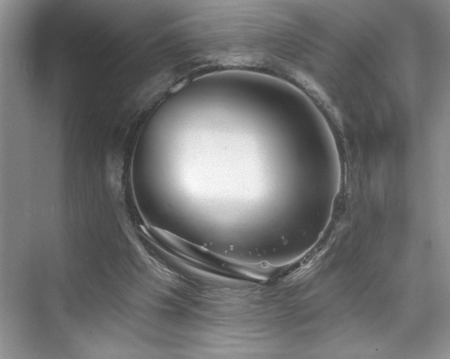 X0000076260201200609281216