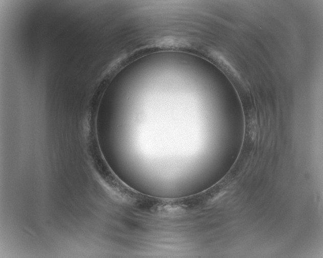 X0000076260208200609281215