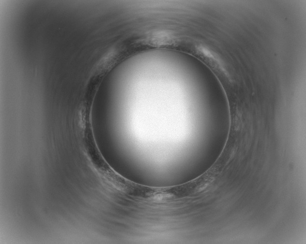 X0000076260210200609281215