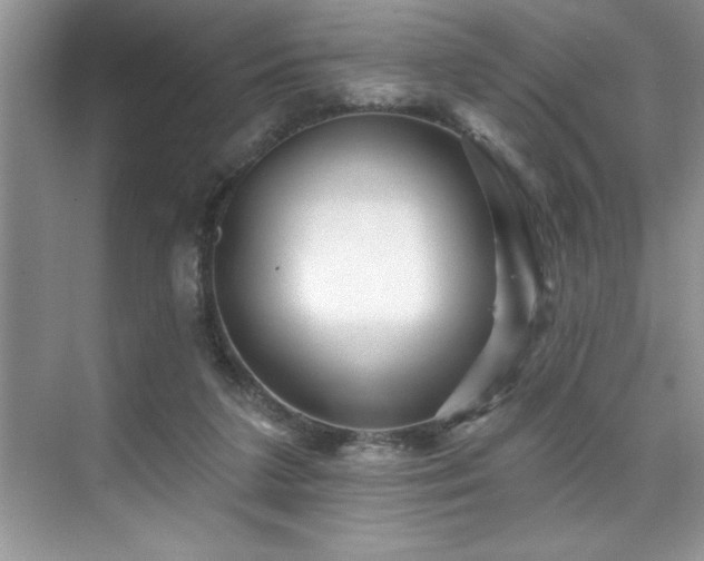 X0000076260211200609281215