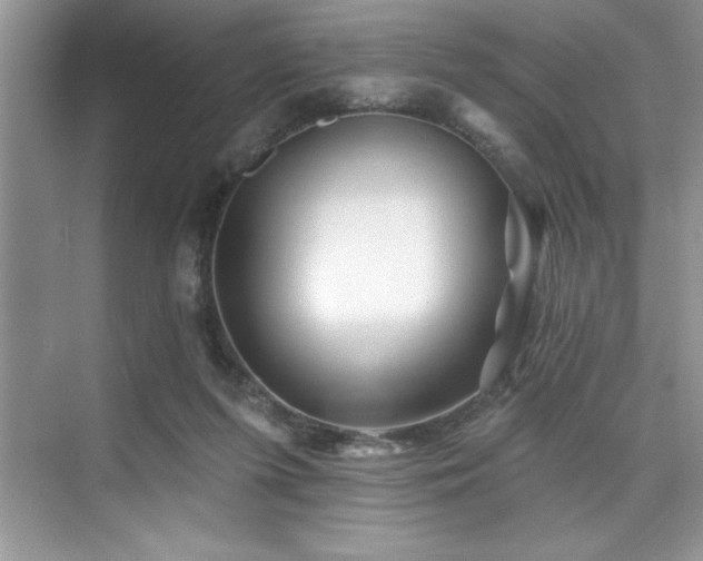 X0000076260215200609281215