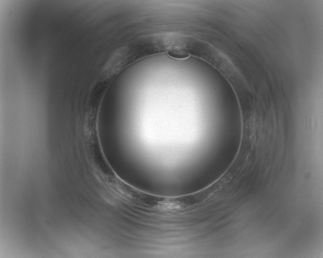 X0000076260218200609281215
