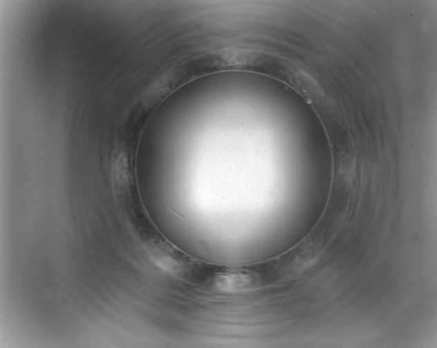 X0000076260220200609281215