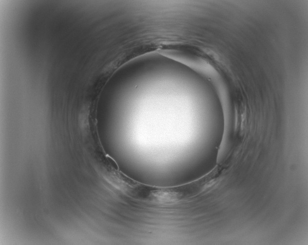 X0000076260221200609281215