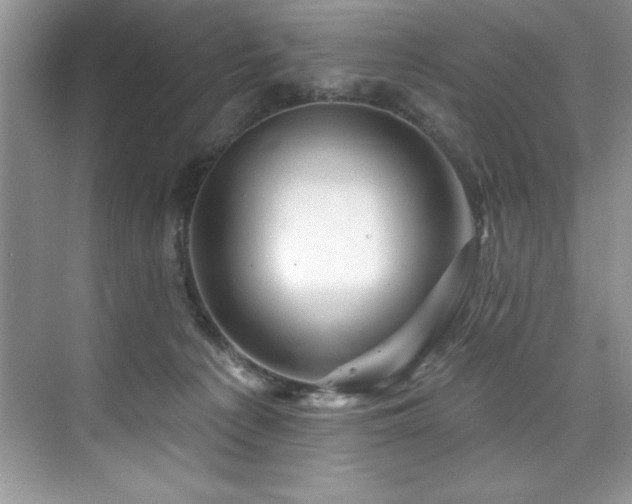 X0000076260225200609281215
