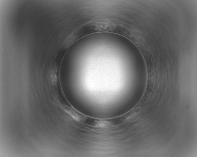 X0000076260226200609281215