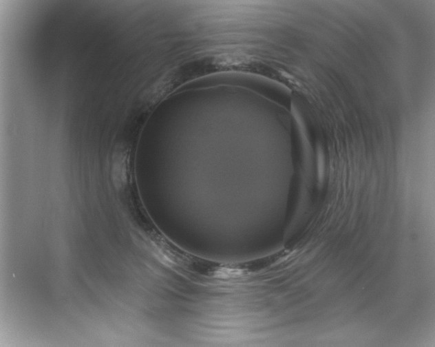 X0000076260227200609281215