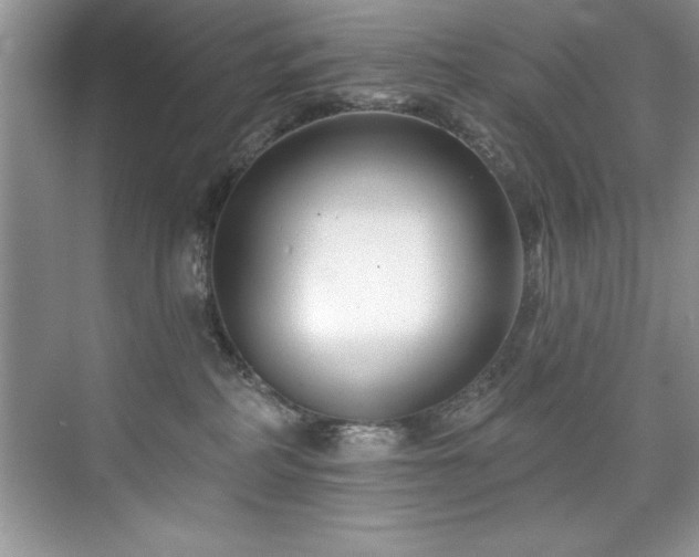 X0000076260234200609281215